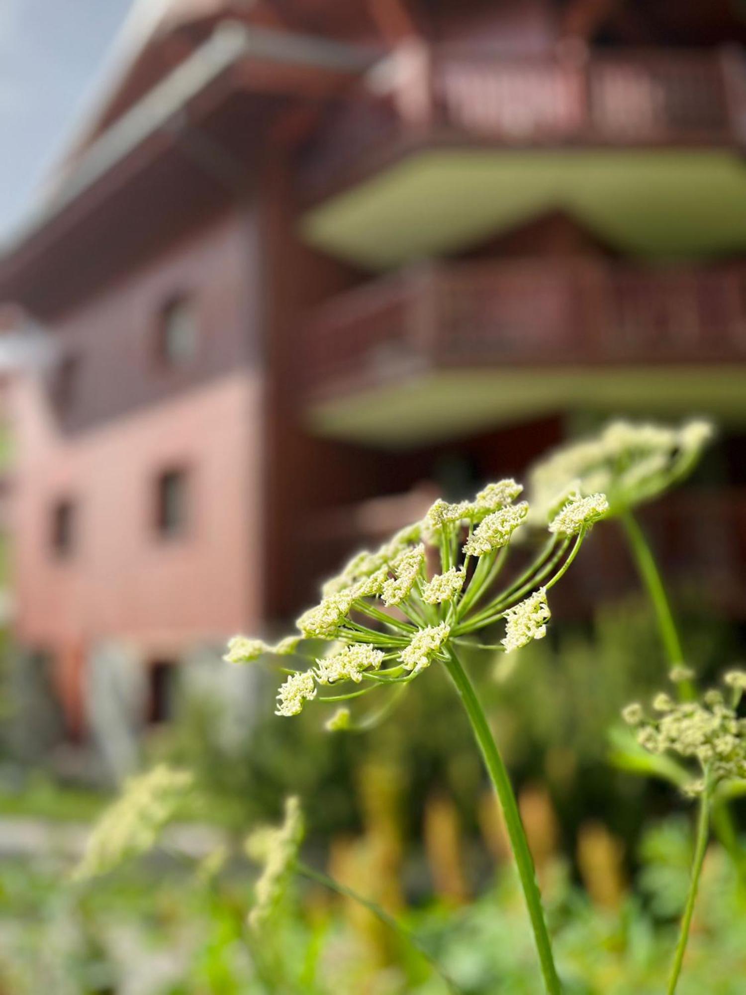 Appartments In Ecrin Des Neiges Apartment Tignes